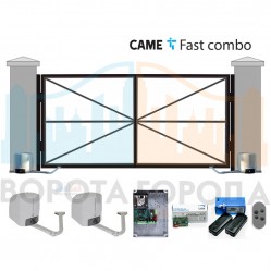 Ворота распашные 4000х2500 мм с автоматикой CAME FAST COMBO 