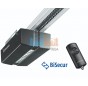 Гаражные секционные ворота RenoMatic 42 2500 x 2250 с приводом ProMatic